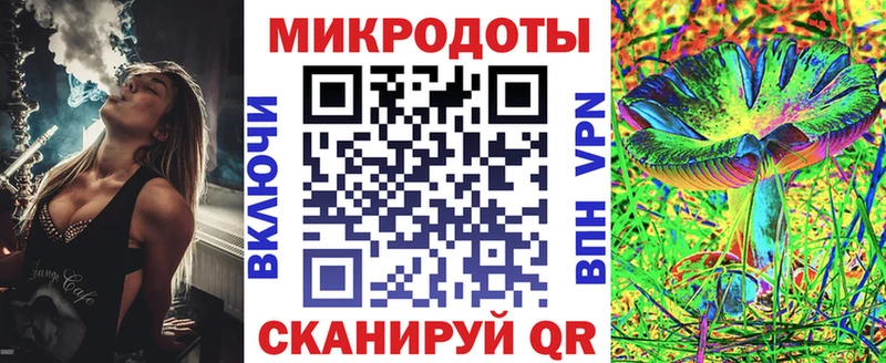 Псилоцибиновые грибы Psilocybine cubensis  Лаишево 